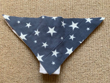 Load image into Gallery viewer, cloth nappy